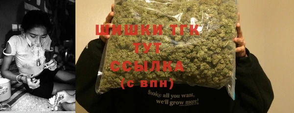 дживик Горняк