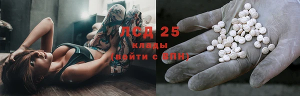 дживик Горняк