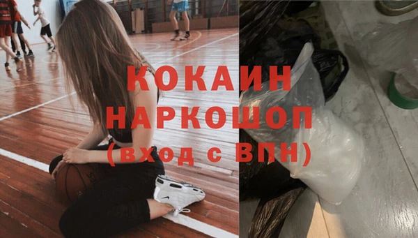 дживик Горняк