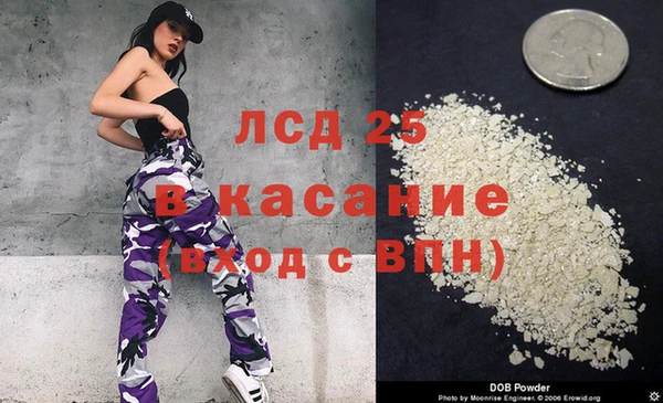дживик Горняк