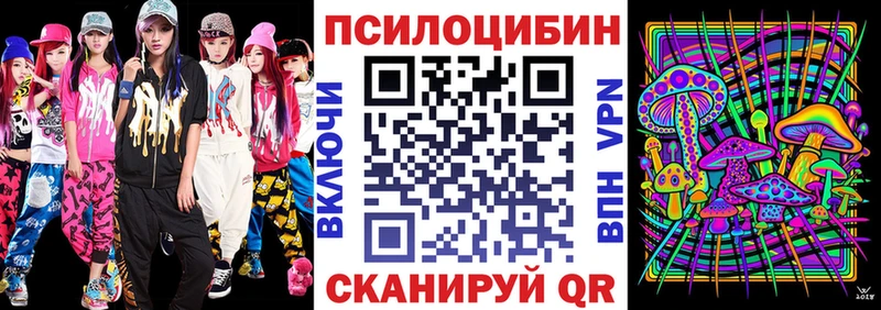 цены   Данилов  Галлюциногенные грибы GOLDEN TEACHER 